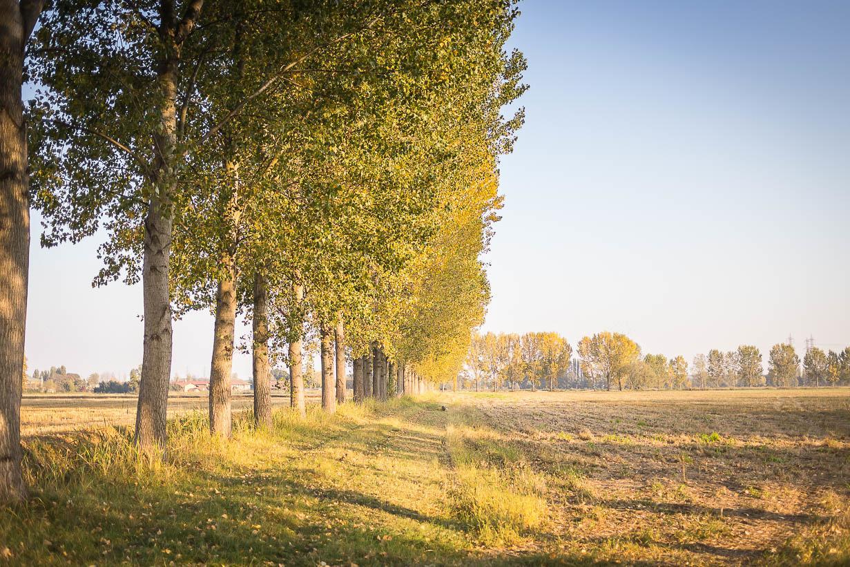 Cascina Gaggioli Villa Milano Eksteriør bilde